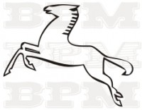 /album/fotogaleria-celtic/celtic-21-jpg/